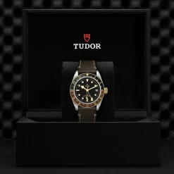 Black Bay GMT S&G