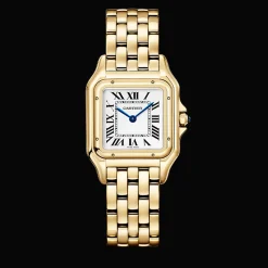 Panthère de Cartier Medium