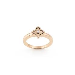 Ring RG Briljant NR1317R