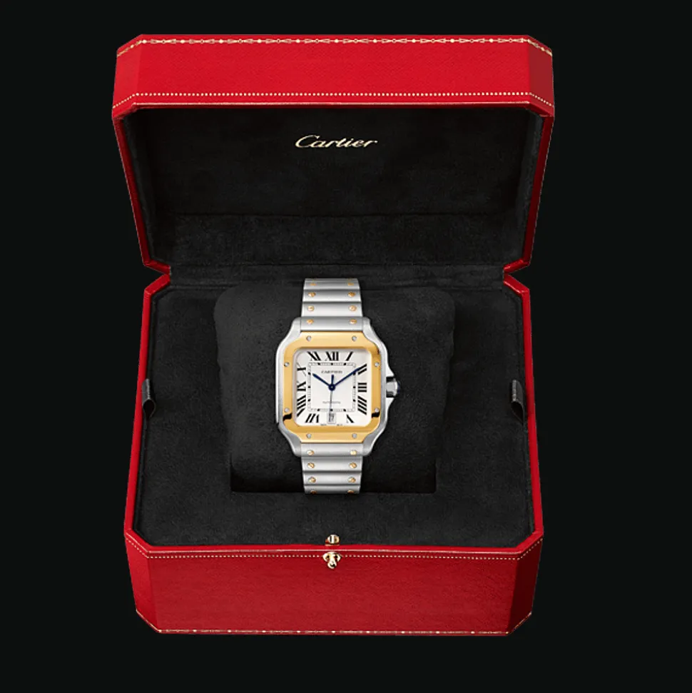 Santos de Cartier Large