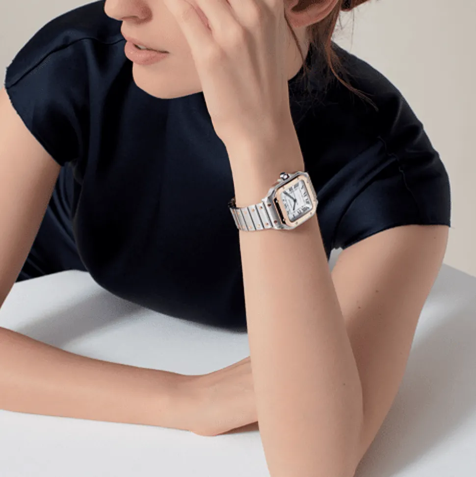 Santos de Cartier Medium