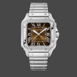 Santos de Cartier Medium