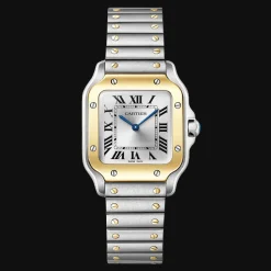 Santos de Cartier Small