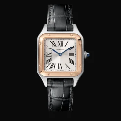 Santos-Dumont Small