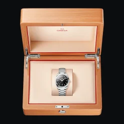 Seamaster Aqua Terra 150M 38mm