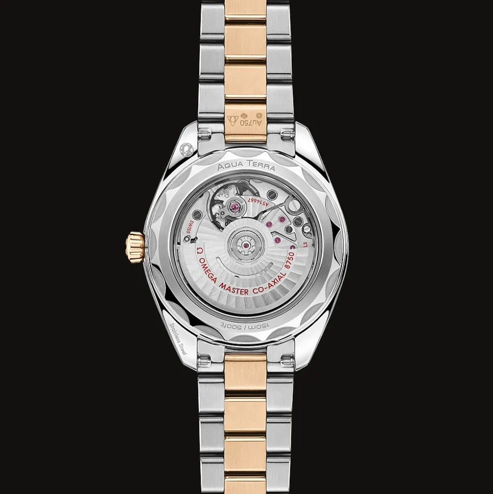 Seamaster Aqua Terra 150M 30mm