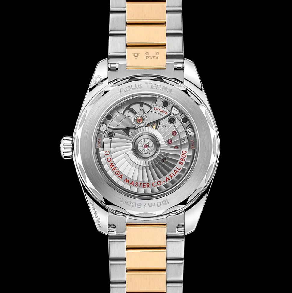 Seamaster Aqua Terra 150M 38mm