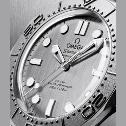 Seamaster Diver 300M