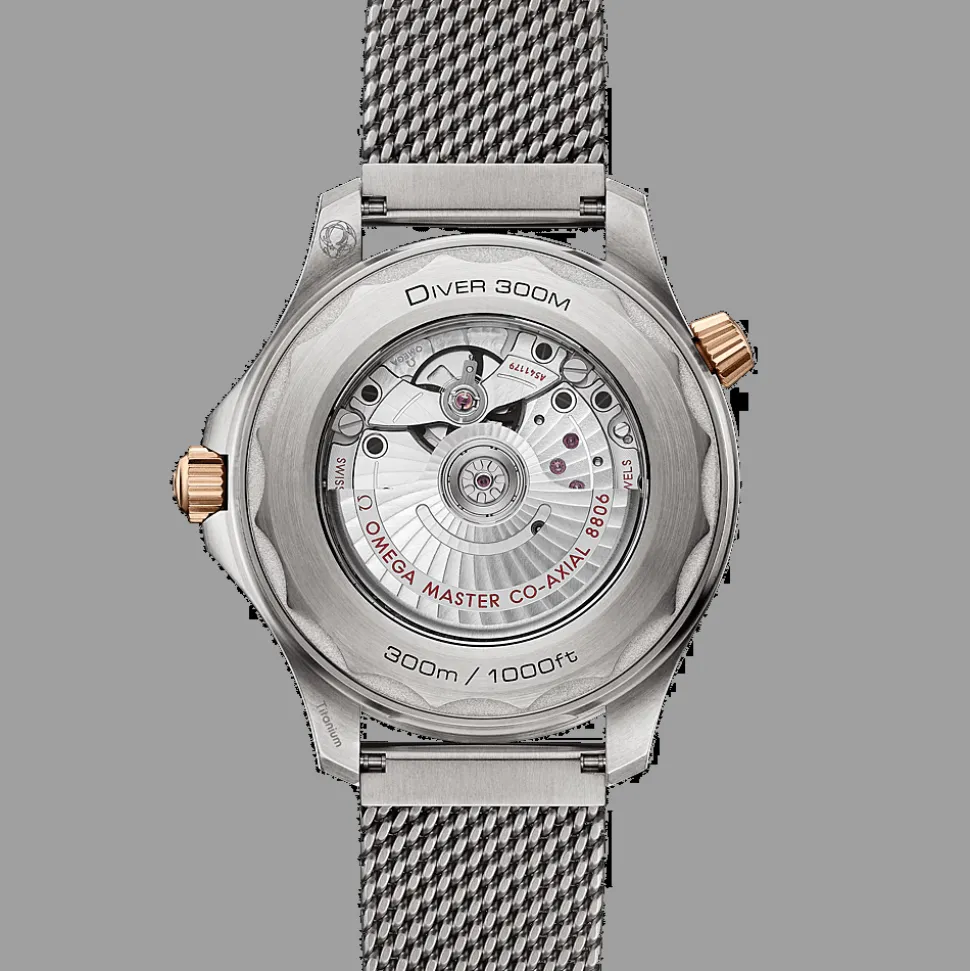 Seamaster Diver 300M