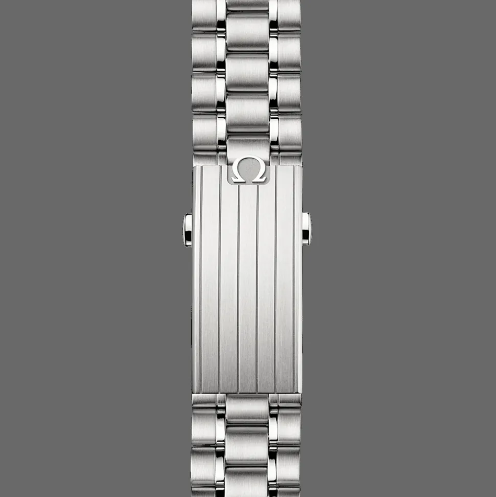 Speedmaster Moonwatch Professional